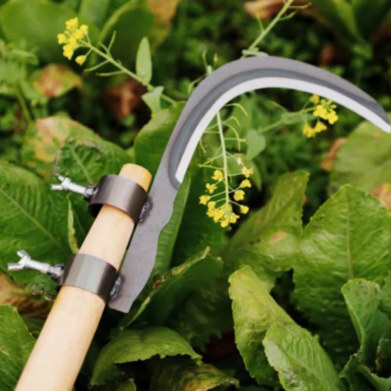 AgroTool, Branch, Weed, Thorn and Vegetation Cutter - Image 5