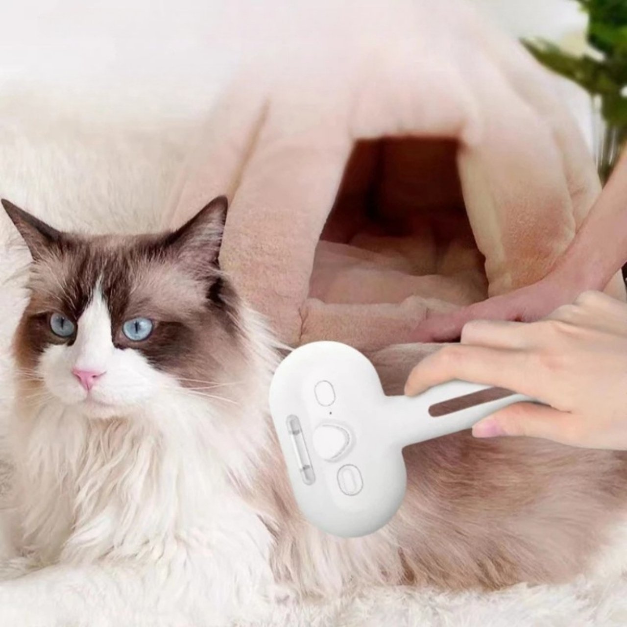 AllinOneBrush, steam brush for pets - Image 7