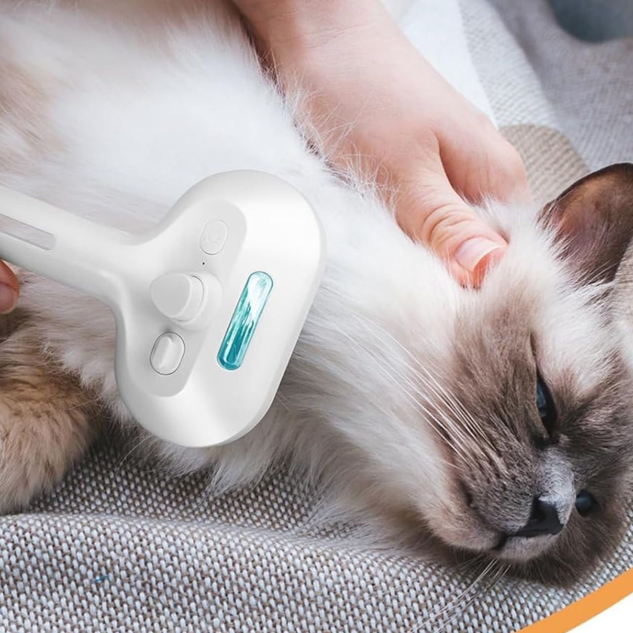 AllinOneBrush, steam brush for pets - Image 8