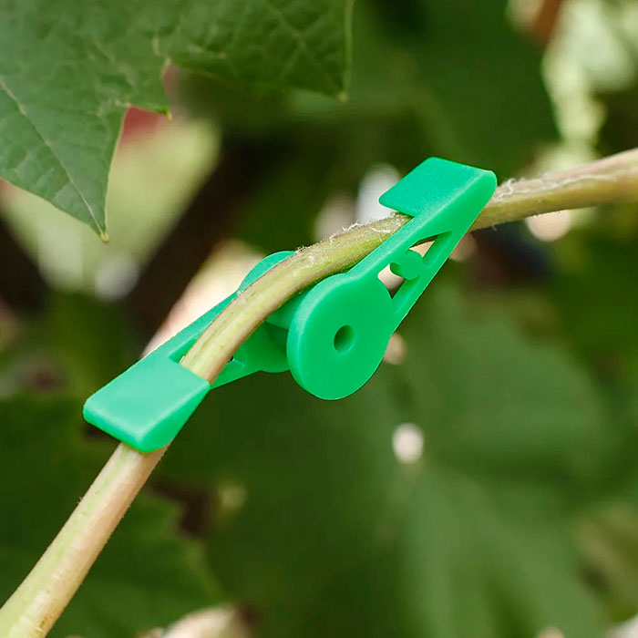 AnglePlant, plant growth guide clips (30 pieces) - Image 3