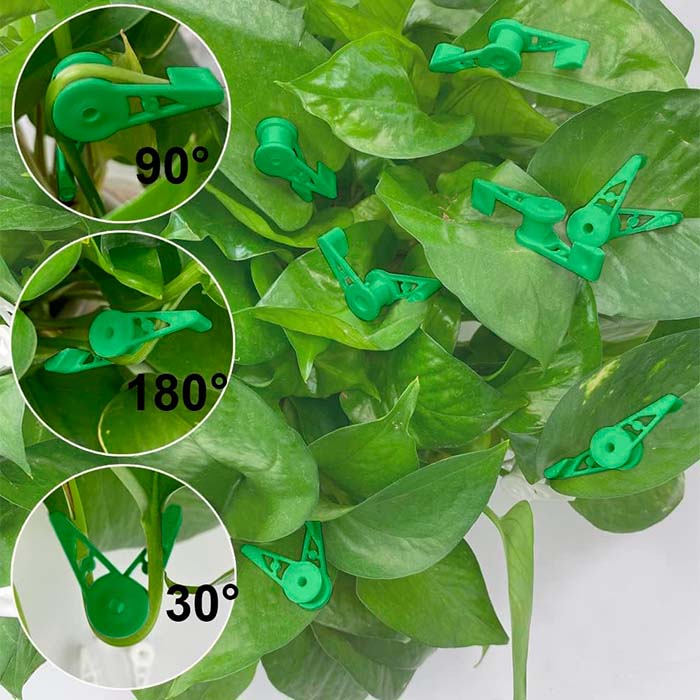AnglePlant, plant growth guide clips (30 pieces) - Image 5