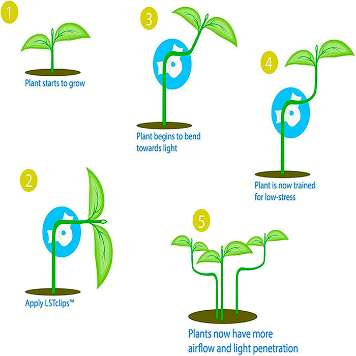 AnglePlant, plant growth guide clips (30 pieces) - Image 7