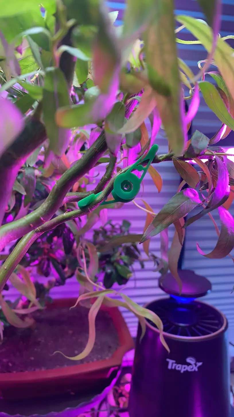 AnglePlant, plant growth guide clips (30 pieces) - Image 10