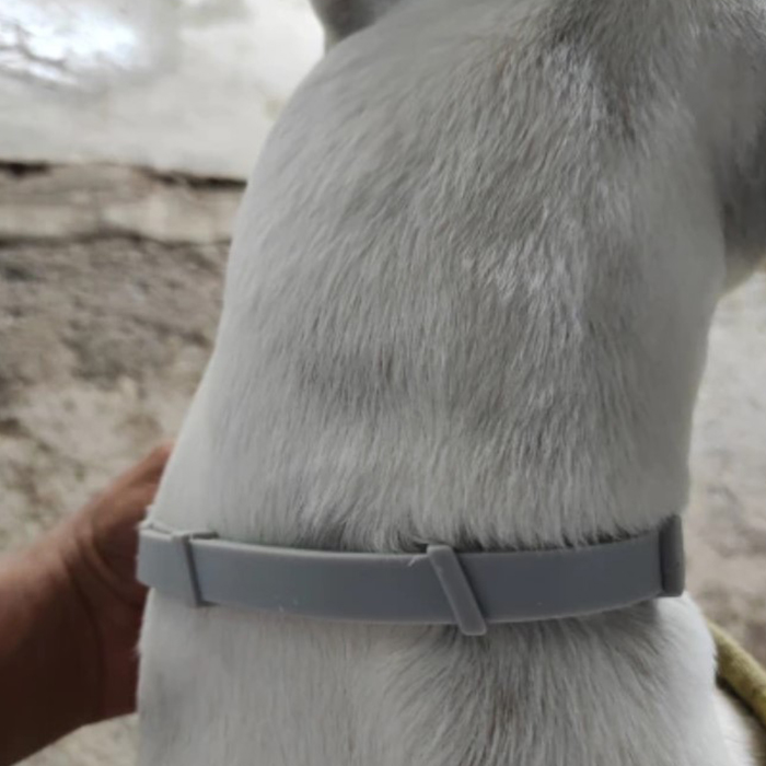 AnimalProtect, tick and flea collar for dogs - Image 2