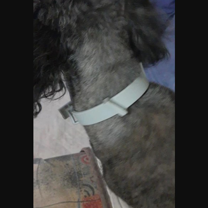 AnimalProtect, tick and flea collar for dogs - Image 3
