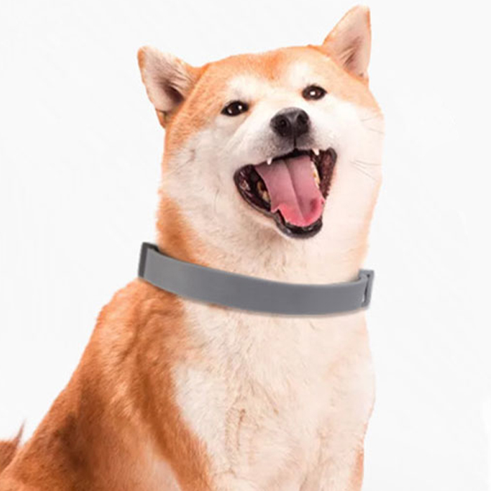 AnimalProtect, tick and flea collar for dogs - Image 8