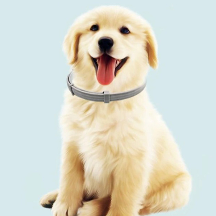 AnimalProtect, tick and flea collar for dogs - Image 9