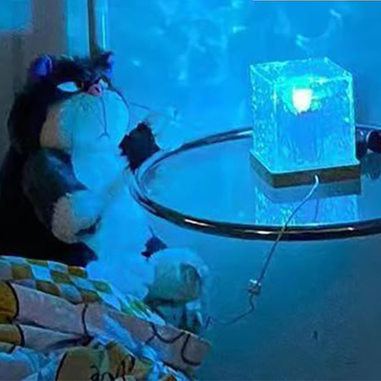 AuroraBorealis, a decorative lamp with a northern lights effect