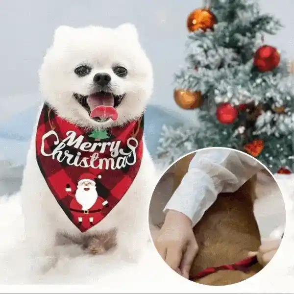 Bandana, the Christmas shawl for dogs - Image 2
