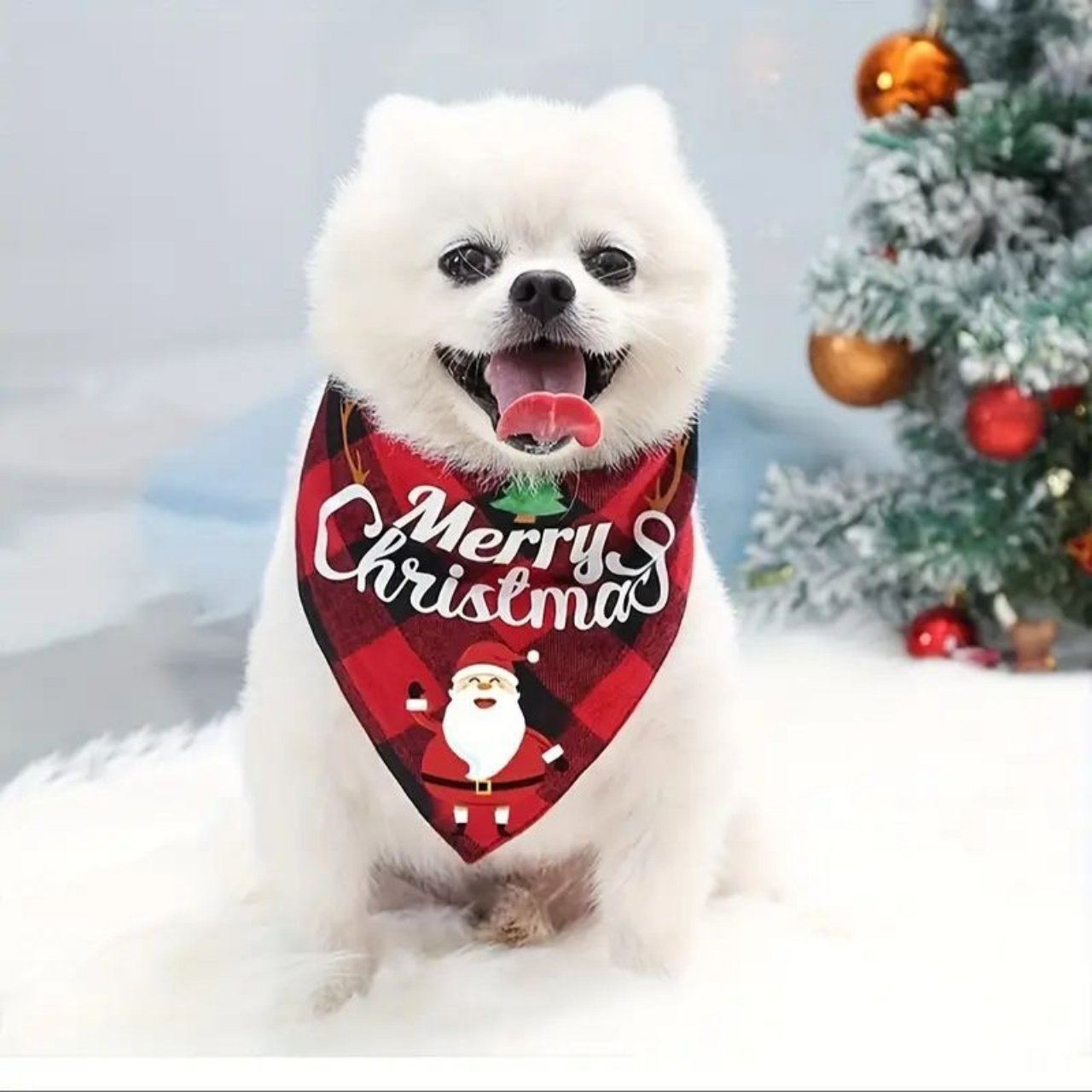 Let your dog shine in the festive spirit