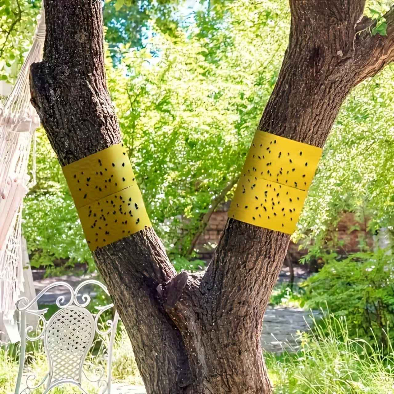 BarrierTape, adhesive tape for catching insects - Image 3