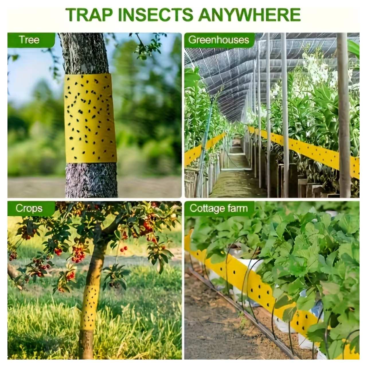 Protecting trees and plants in the garden