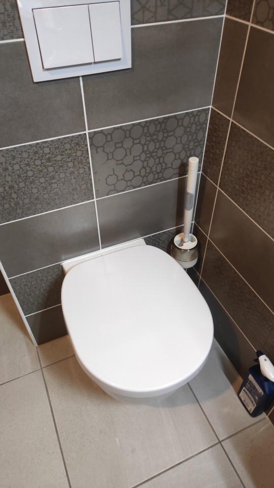 BestBrush, the revolutionary toilet brush with a button for dispensing cleaner - Image 10
