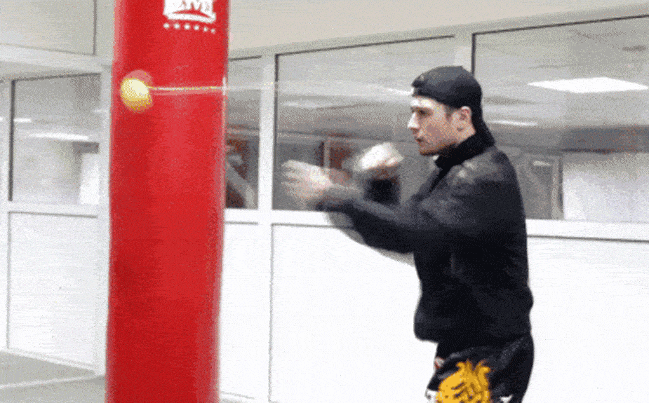 BoxingBall, the home training system for speed, coordination and punching - Image 7