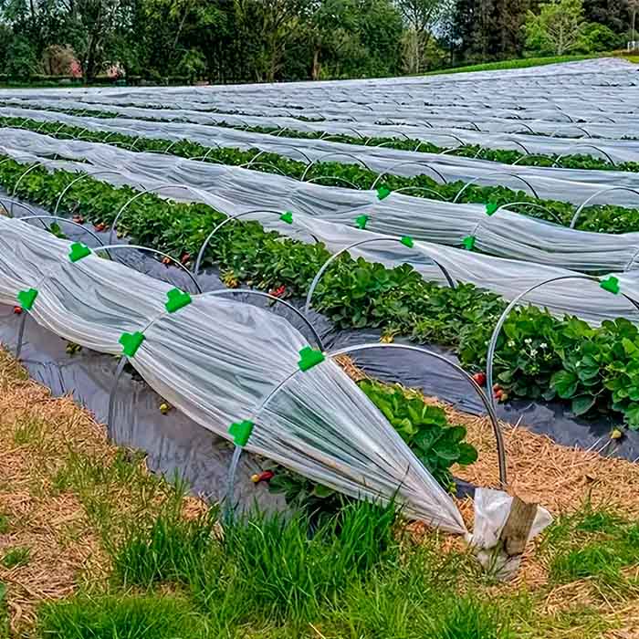 The clips effectively fasten the foil to the greenhouse and the nets and netting over the plants!