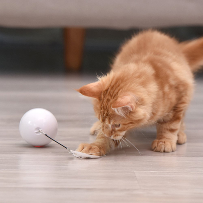 CatToy, a toy for a cat that runs away and waves a feather - Image 2