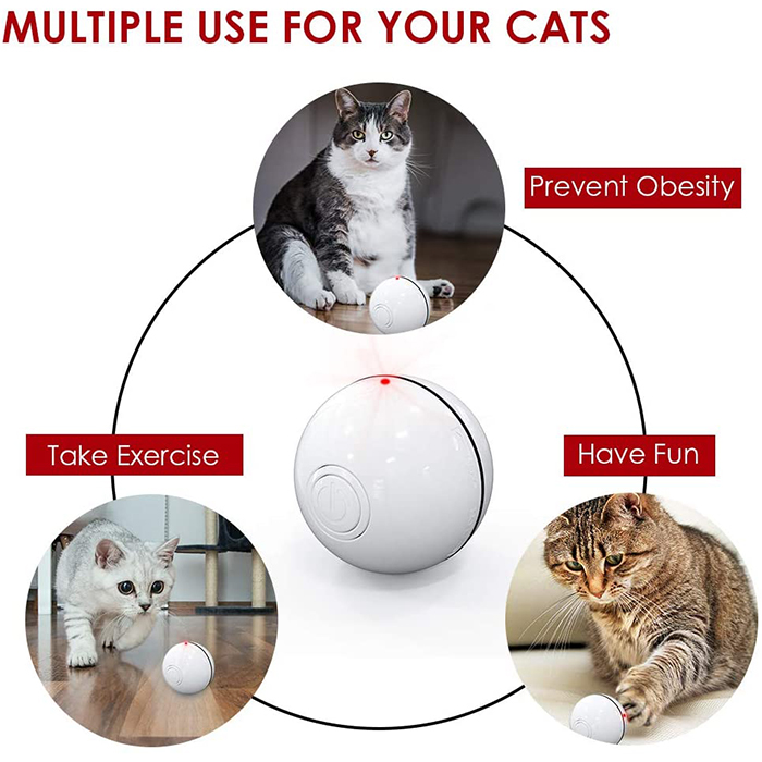 CatToy, a toy for a cat that runs away and waves a feather - Image 6