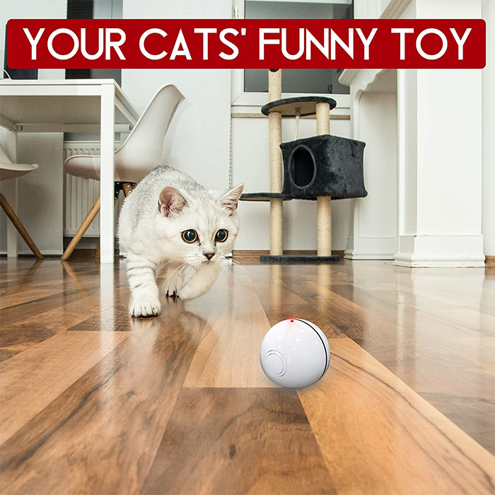 CatToy, a toy for a cat that runs away and waves a feather - Image 7