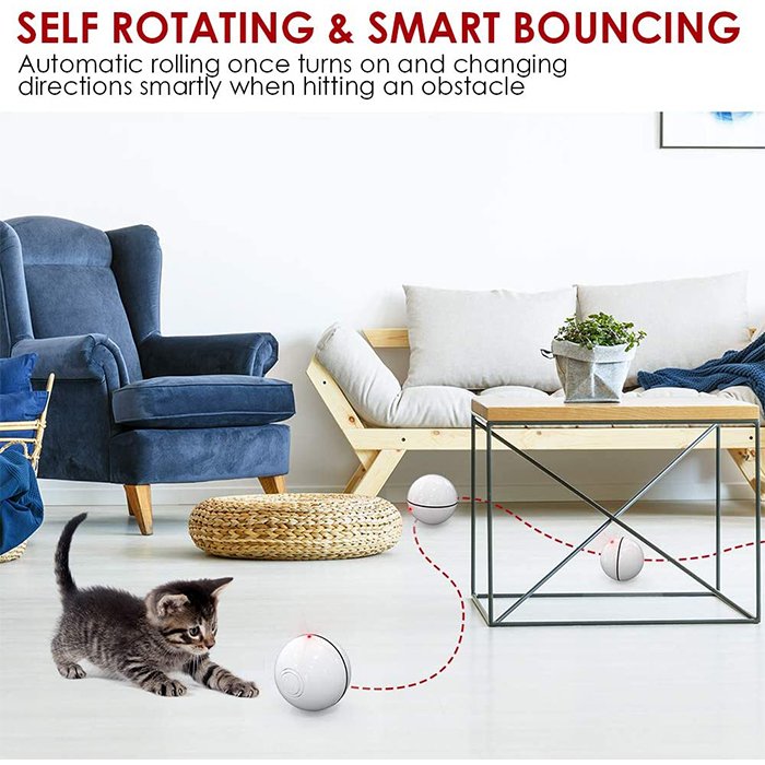 CatToy, a toy for a cat that runs away and waves a feather - Image 8