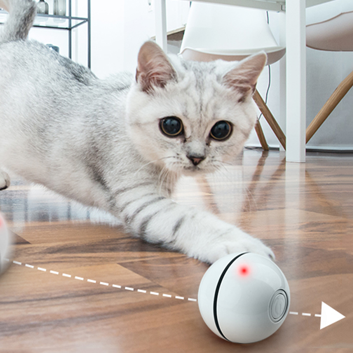 CatToy, a toy for a cat that runs away and waves a feather - Image 10