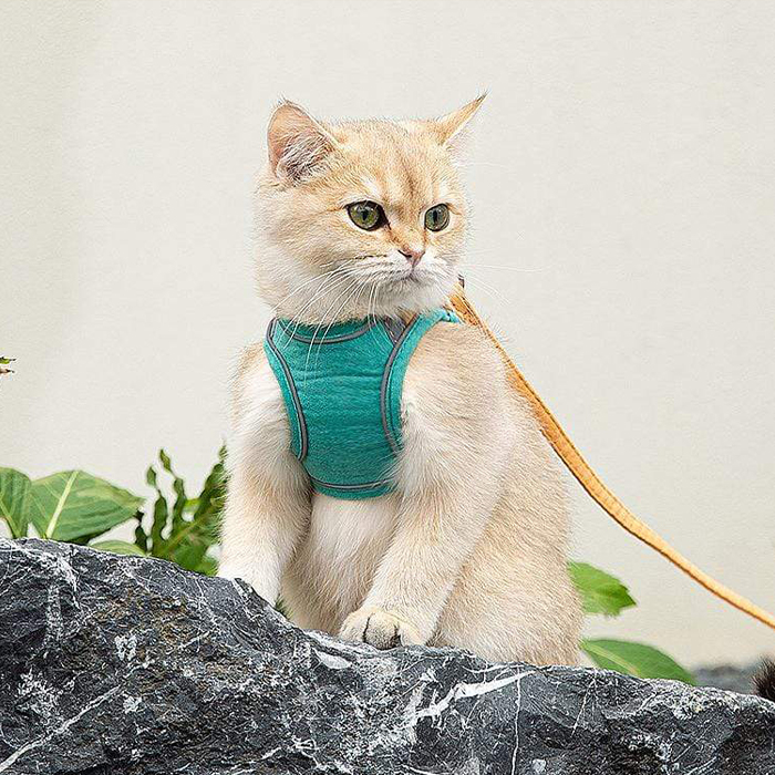 CatVest, leash harness for cats - Image 3