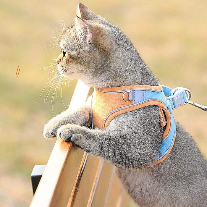 CatVest, leash harness for cats - Image 4