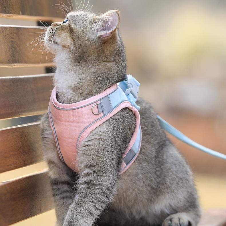 CatVest, leash harness for cats - Image 5