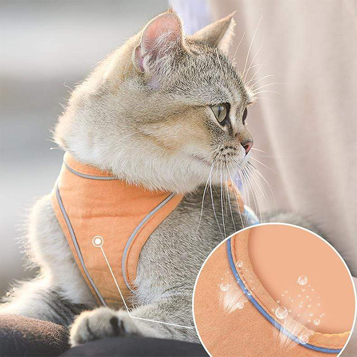 CatVest, leash harness for cats - Image 9