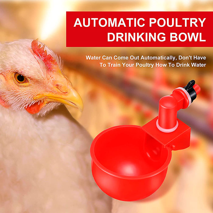 ChickenBowl, waterer for hens and other poultry (6 pieces) - Image 4