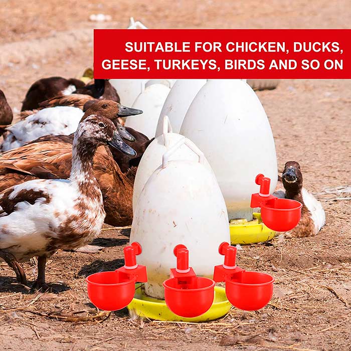 ChickenBowl, waterer for hens and other poultry (6 pieces) - Image 5