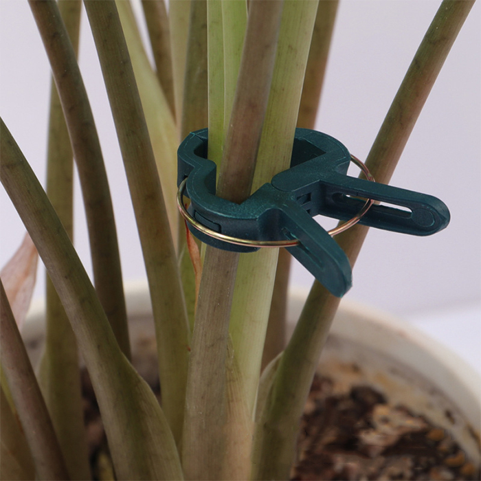 ClampsGarden, useful and durable clamps for a variety of plants outside and inside (20 pcs.) - Image 3
