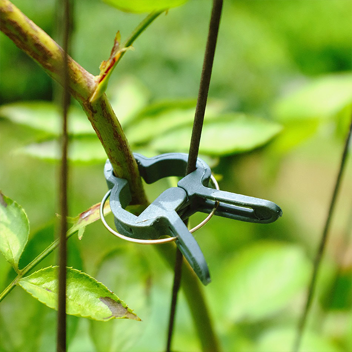 ClampsGarden, useful and durable clamps for a variety of plants outside and inside (20 pcs.) - Image 4