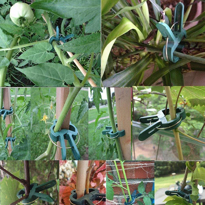 ClampsGarden, useful and durable clamps for a variety of plants outside and inside (20 pcs.) - Image 5