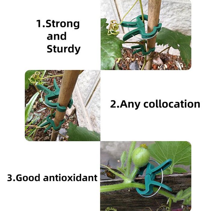 ClampsGarden, useful and durable clamps for a variety of plants outside and inside (20 pcs.) - Image 9