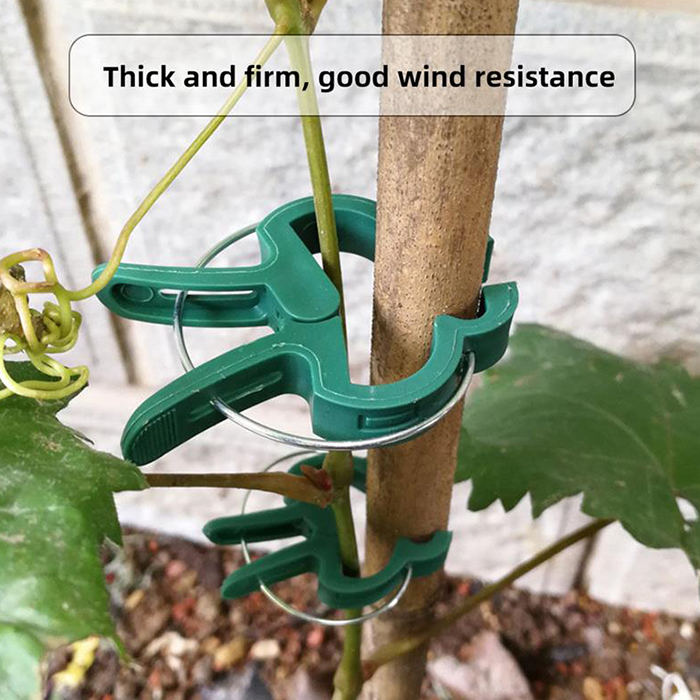 Easy to use