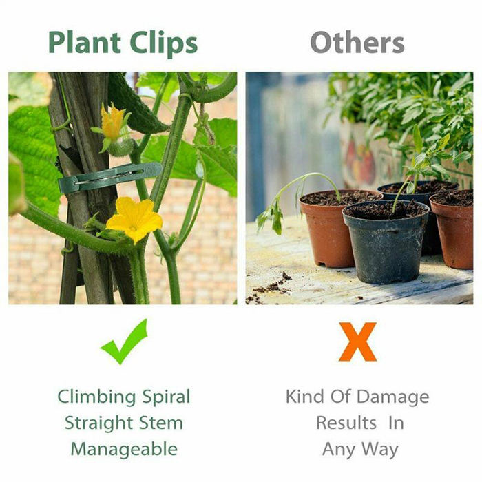Does not harm the plant