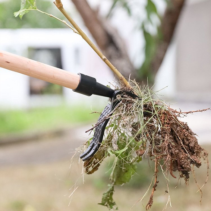 ClawWeeder, the tool for removing weeds with their roots - standing up! - Image 5