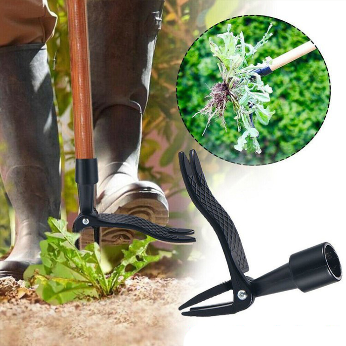 ClawWeeder, the tool for removing weeds with their roots - standing up! - Image 8