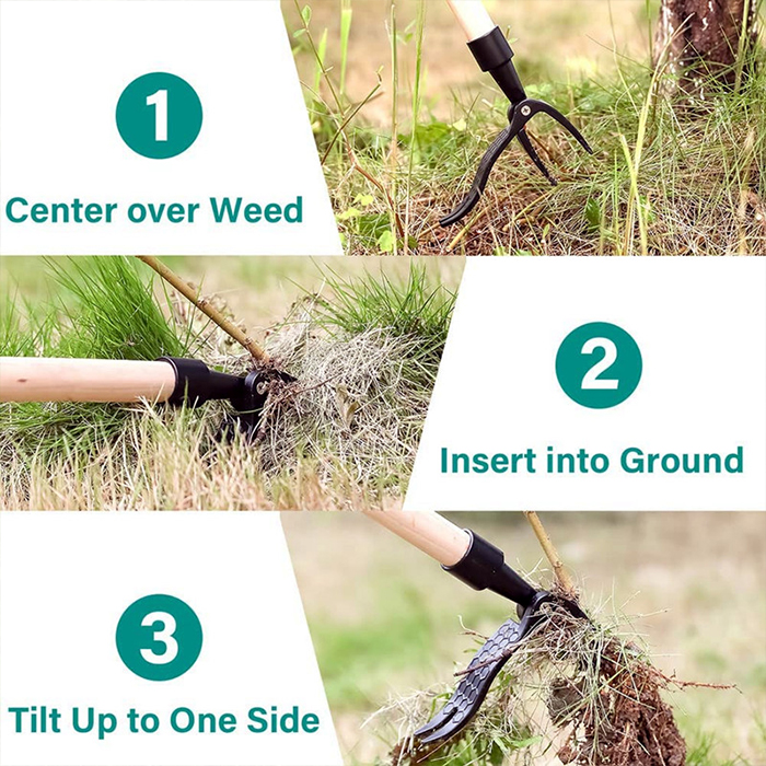 ClawWeeder, the tool for removing weeds with their roots - standing up! - Image 10
