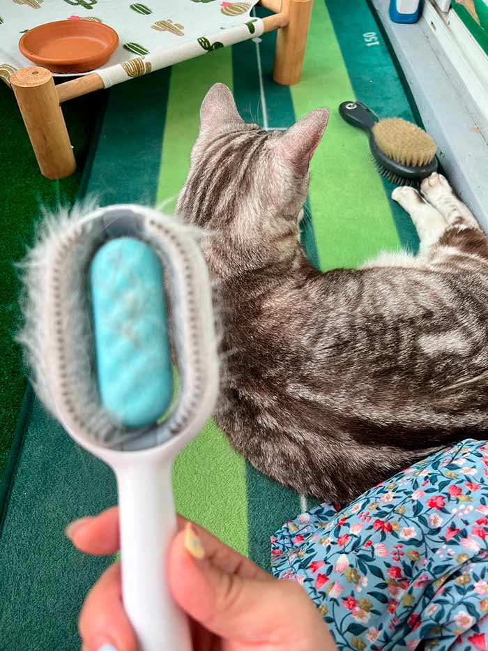 Comby, pet brush - Image 9