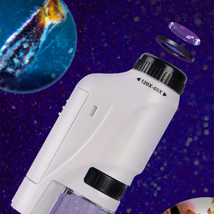 DiscoverBundle, portable children's microscope + 12-piece set of observation plates - Image 10