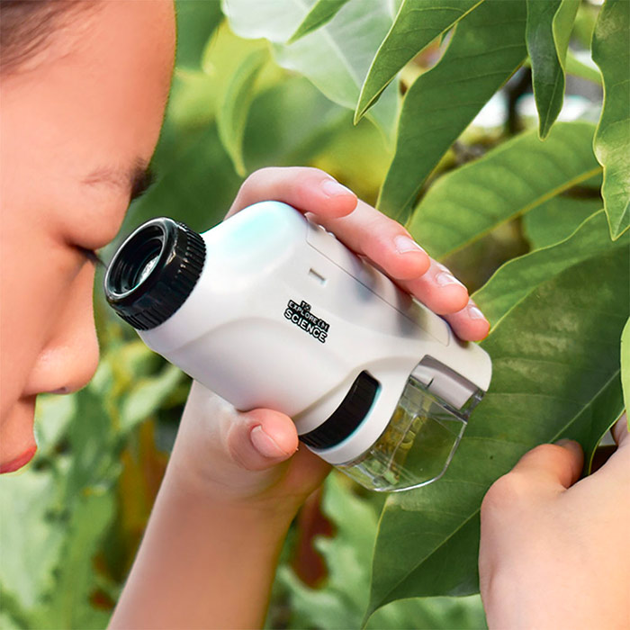 Encourage your child to spend quality time in nature - with a baby microscope, your child can explore the composition of leaves, trees, flowers and other plants and objects made of different materials!