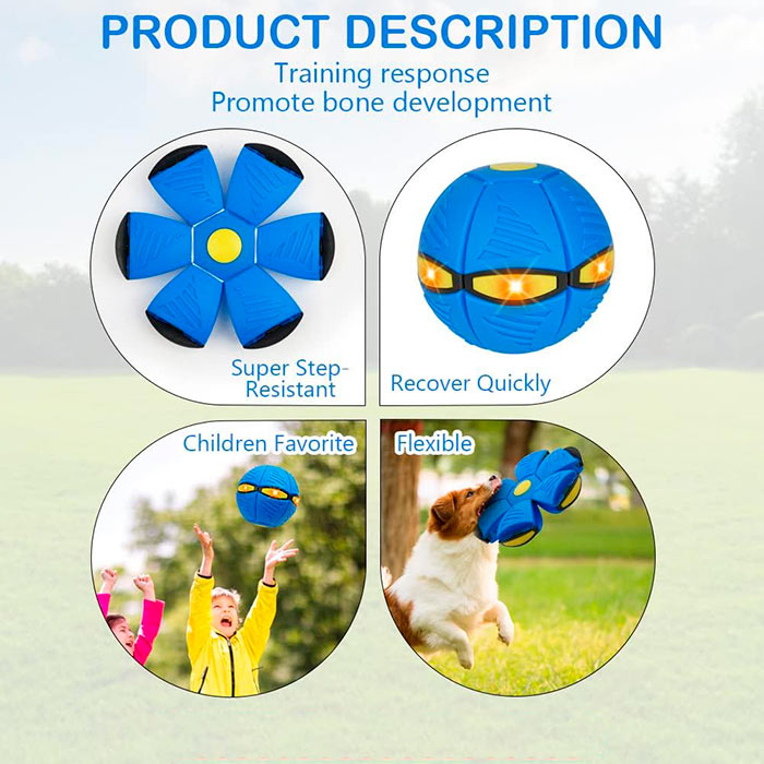 DiskBall, a toy for dogs that is both a frisbee and a ball - Image 4