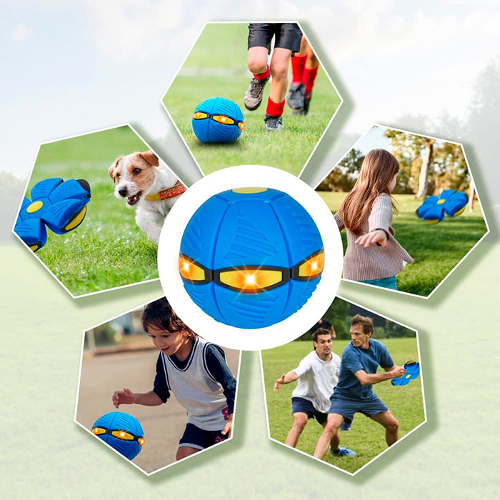 DiskBall, a toy for dogs that is both a frisbee and a ball - Image 5