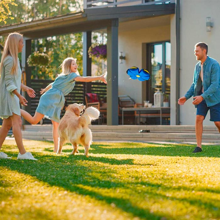 DiskBall, a toy for dogs that is both a frisbee and a ball - Image 6