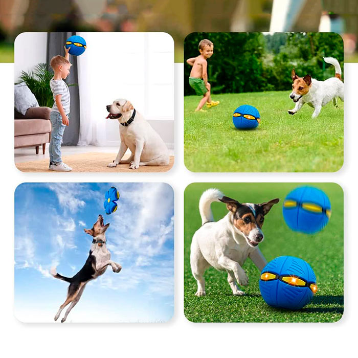 DiskBall, a toy for dogs that is both a frisbee and a ball - Image 7