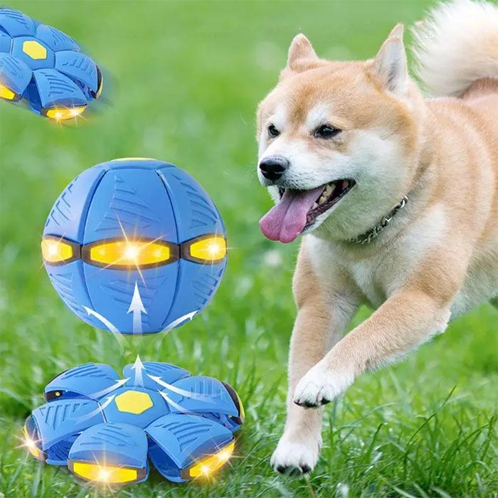 DiskBall, a toy for dogs that is both a frisbee and a ball - Image 8
