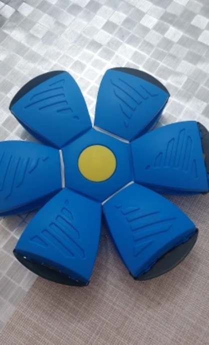 DiskBall, a toy for dogs that is both a frisbee and a ball - Image 10