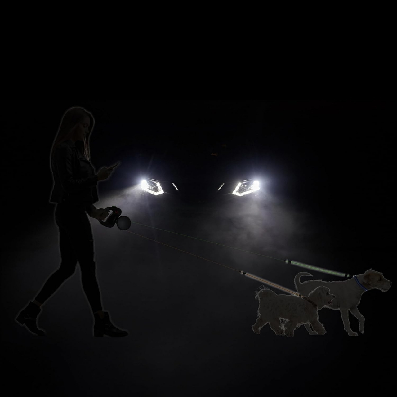 DoubleLeash, retractable leash for two dogs - Image 9