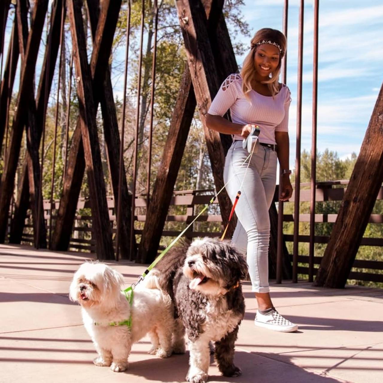Just what I needed - one handle, two leashes and no more stress on walks.